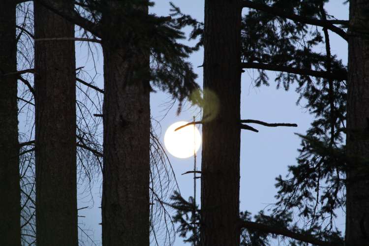 Full Moon Rising ... and the resulting spring tide: